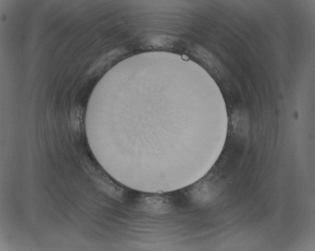 X0000081300423200702012314