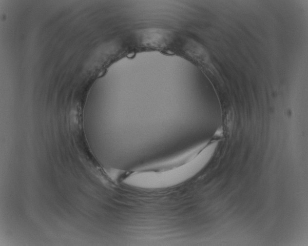 X0000081300424200702012314