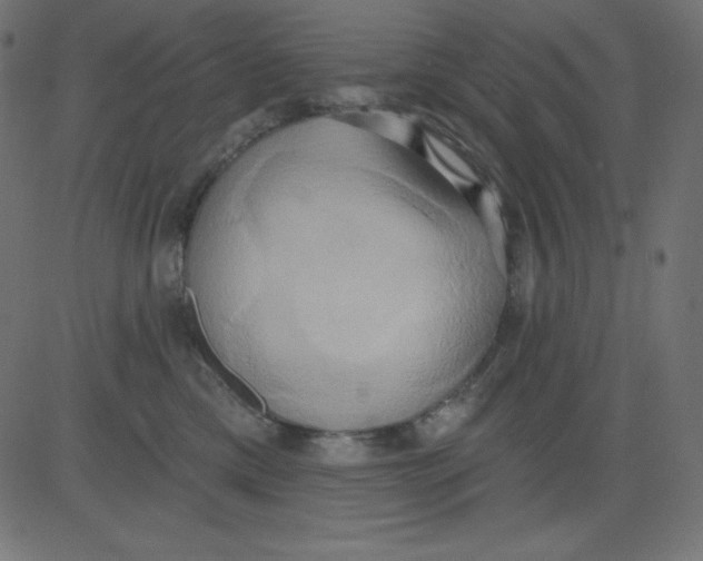 X0000081300425200702012314