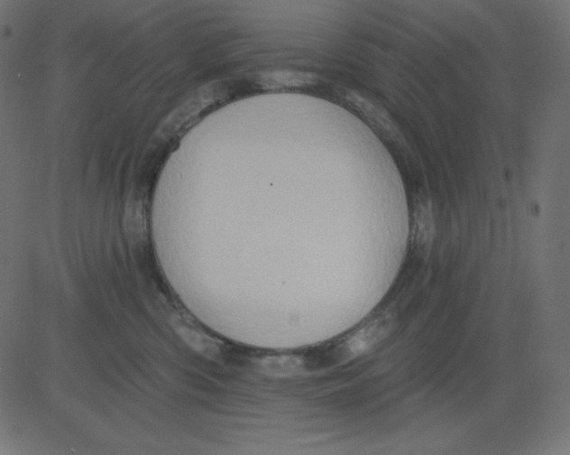 X0000081300426200702012314