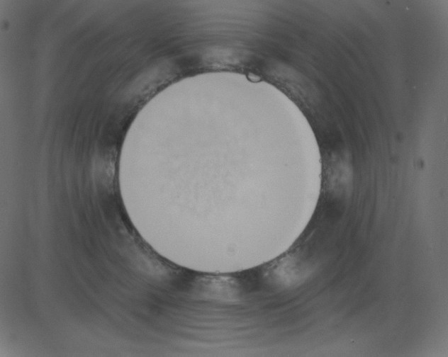 X0000081300427200702012314