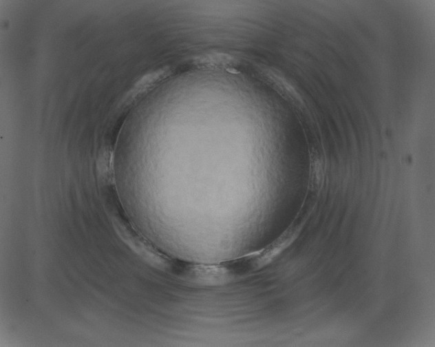 X0000081300429200702012314