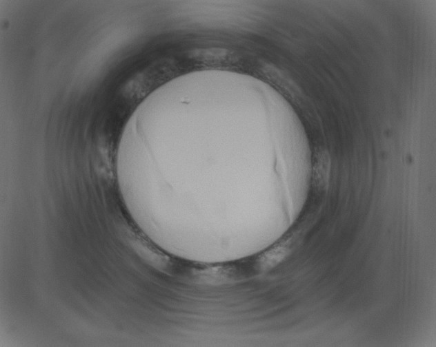 X0000081300430200702012314