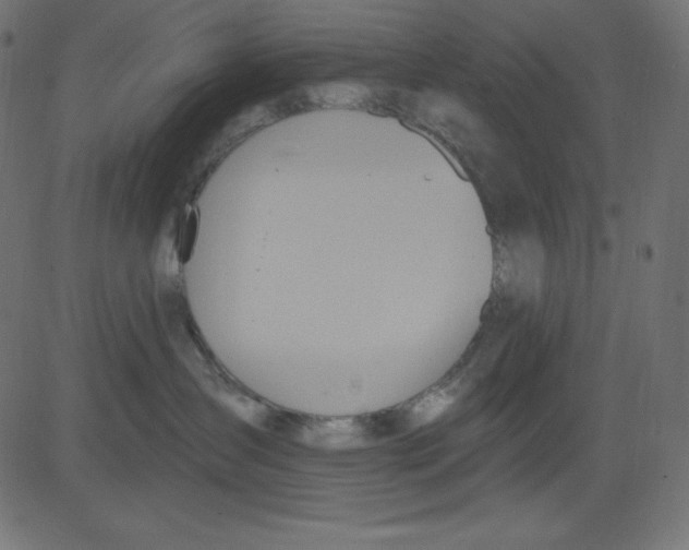 X0000081300431200702012314