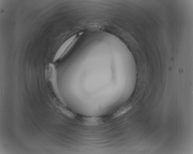 X0000081300432200702012314