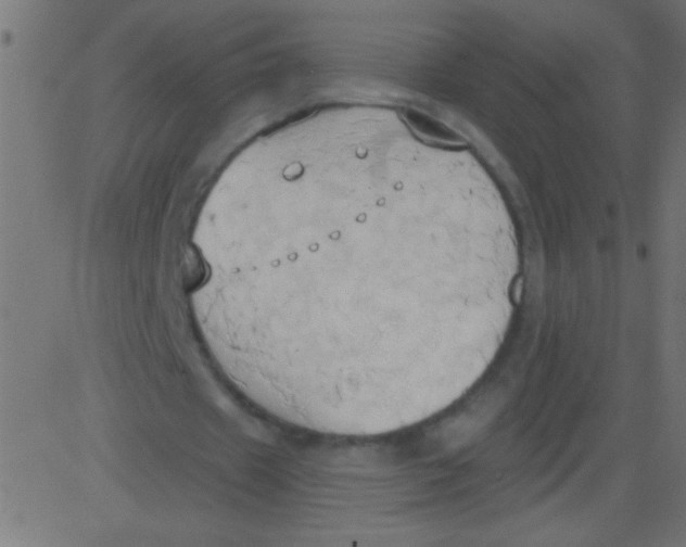 X0000081300433200702012313