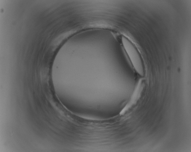 X0000081300434200702012313