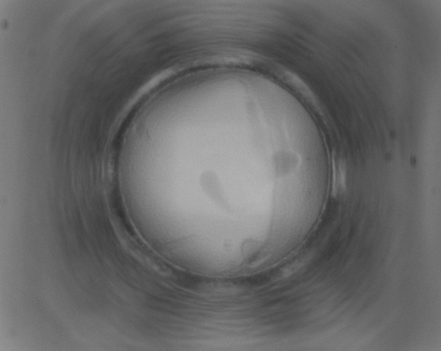 X0000081300435200702012313