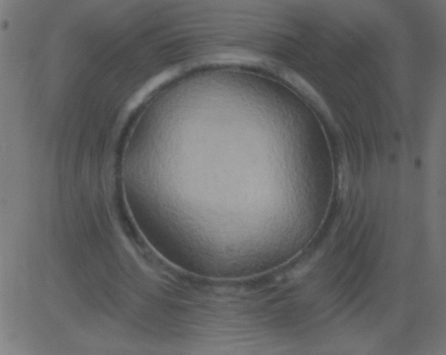 X0000081300436200702012313