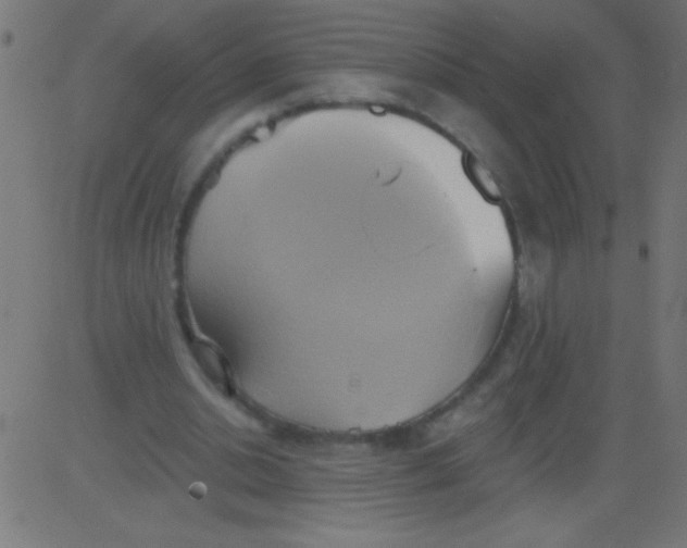 X0000081300438200702012313