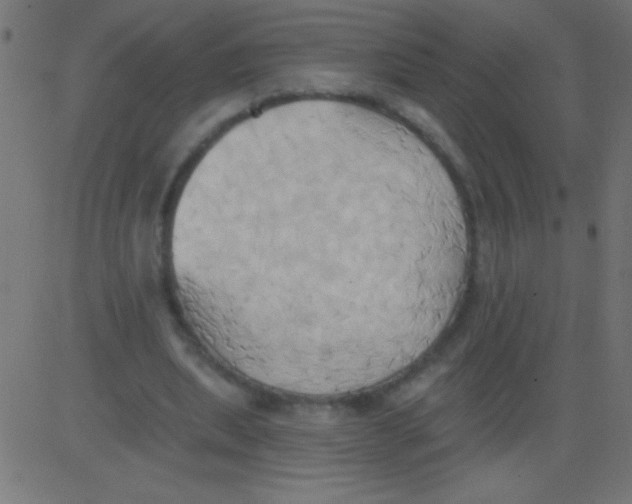 X0000081300439200702012313