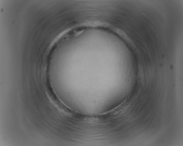 X0000081300440200702012313