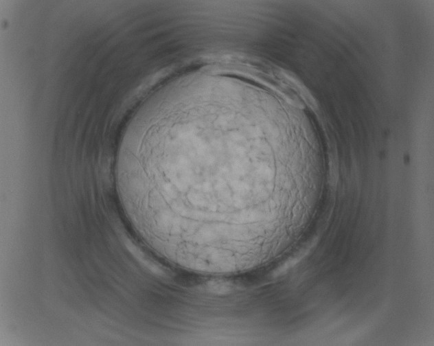 X0000081300441200702012313