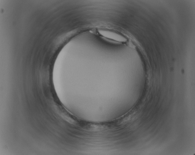 X0000081300442200702012313