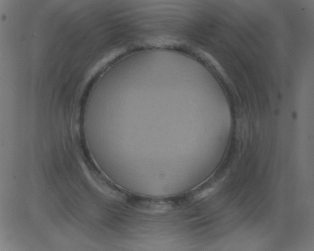 X0000081300443200702012313