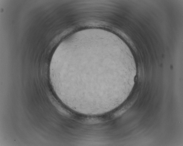 X0000081300445200702012313