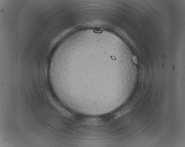 X0000081300446200702012313