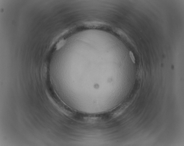 X0000081300448200702012313