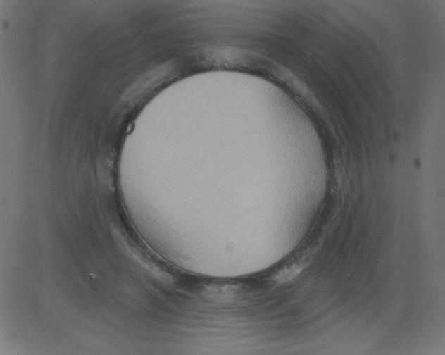 X0000081300450200702012313