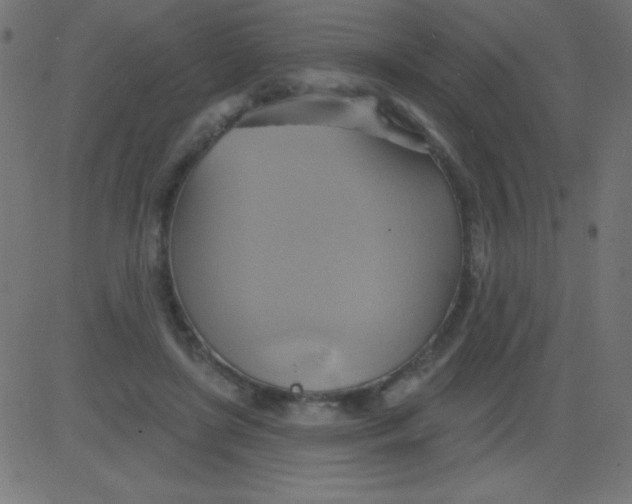 X0000081300451200702012313