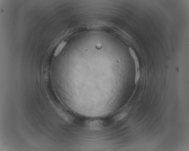 X0000081300452200702012313