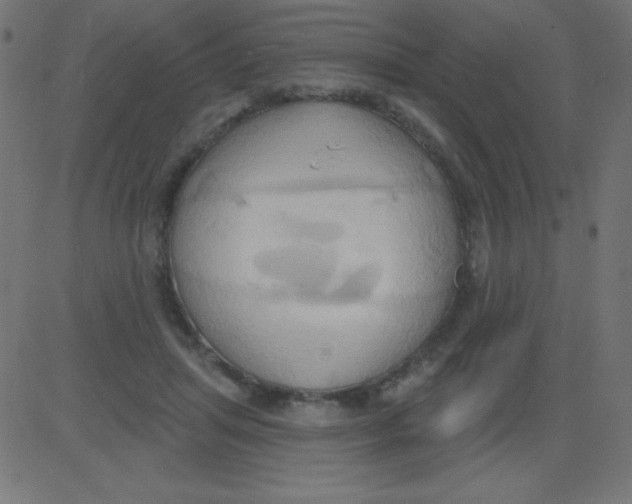 X0000081300455200702012313