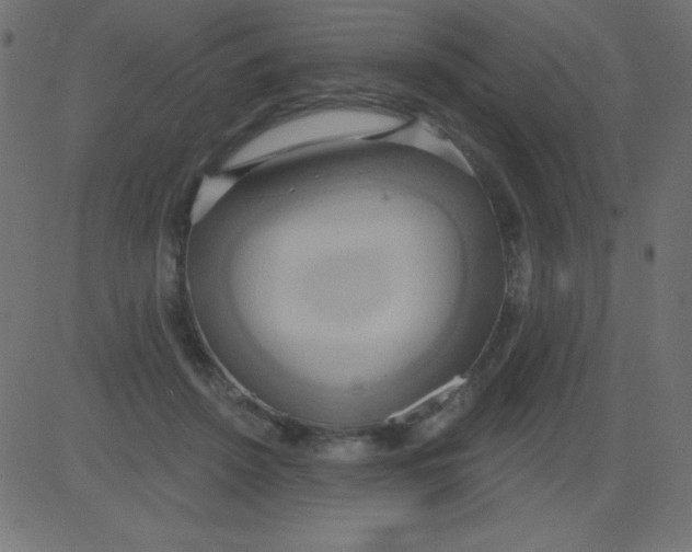 X0000081300456200702012313