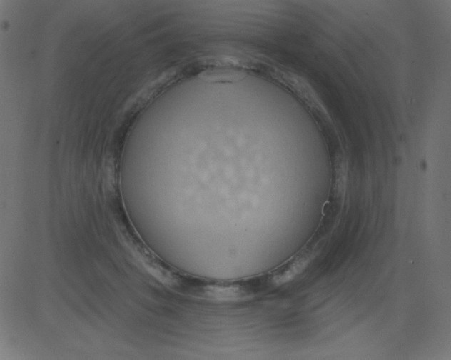 X0000081300457200702012313