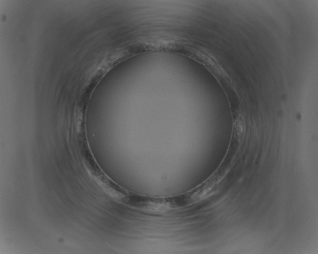 X0000081300458200702012313