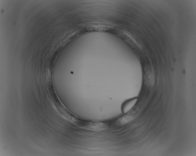 X0000081300459200702012313