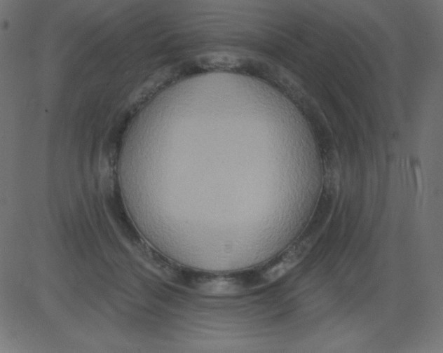 X0000081300460200702012313