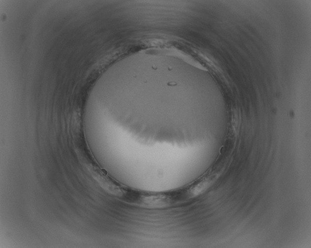 X0000081300461200702012313