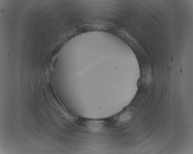 X0000081300465200702012314