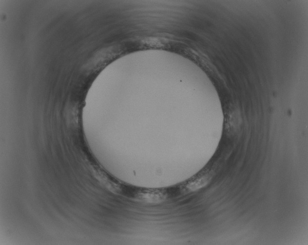 X0000081300466200702012314