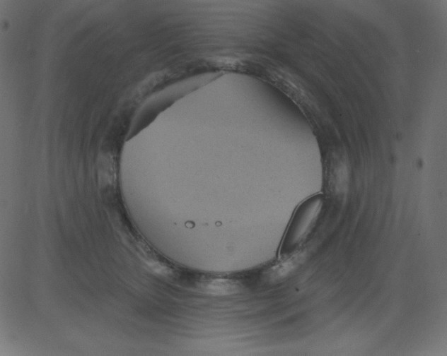 X0000081300467200702012314