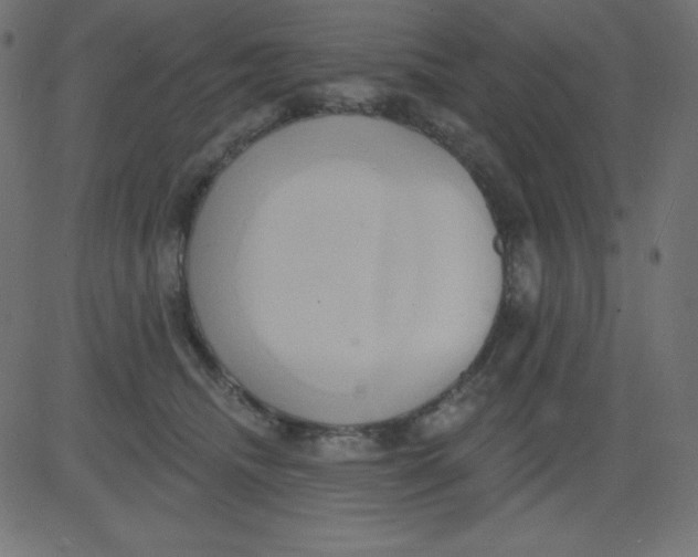 X0000081300468200702012314