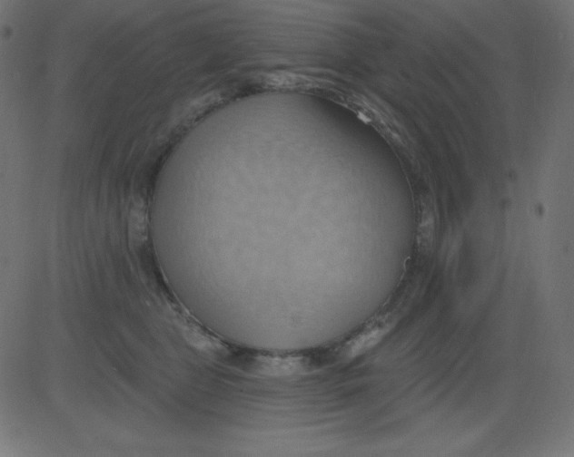 X0000081300469200702012314