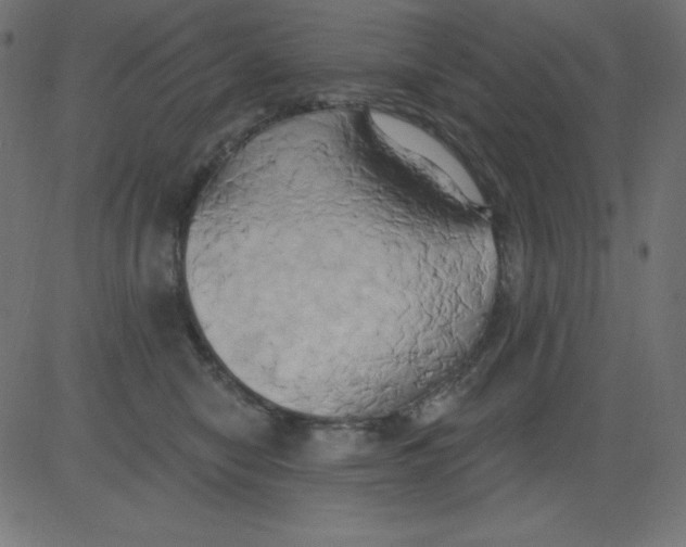 X0000081300470200702012314