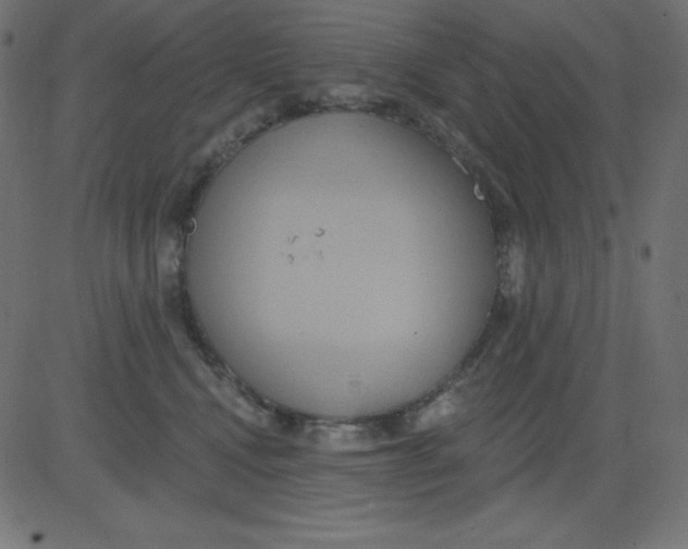 X0000081300472200702012314