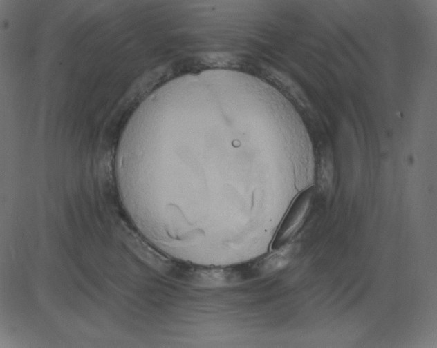 X0000081300473200702012314