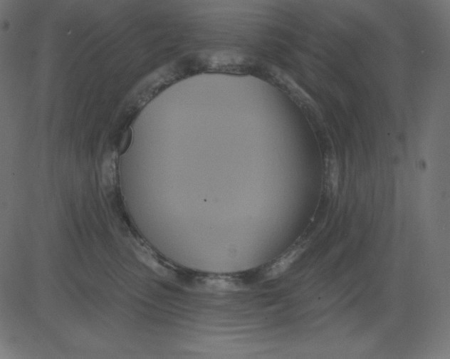 X0000081300475200702012314