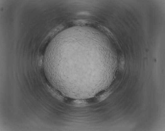 X0000081300477200702012314