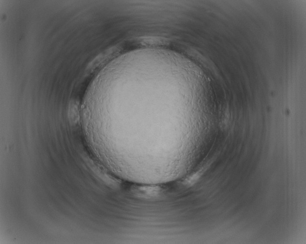 X0000081300478200702012314