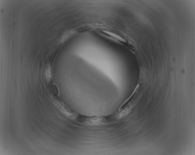 X0000081300479200702012314