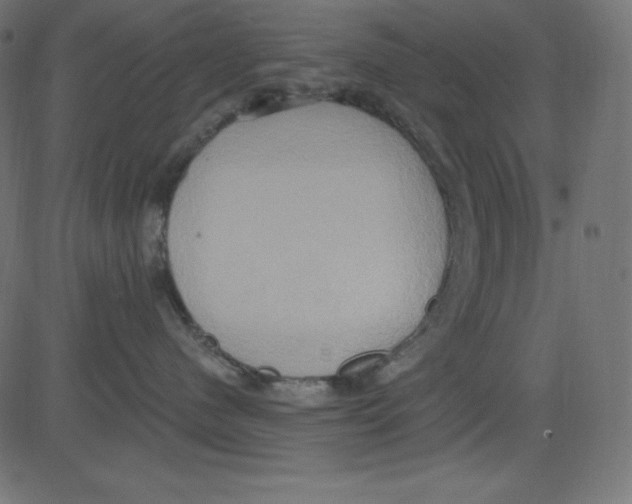 X0000081300480200702012314