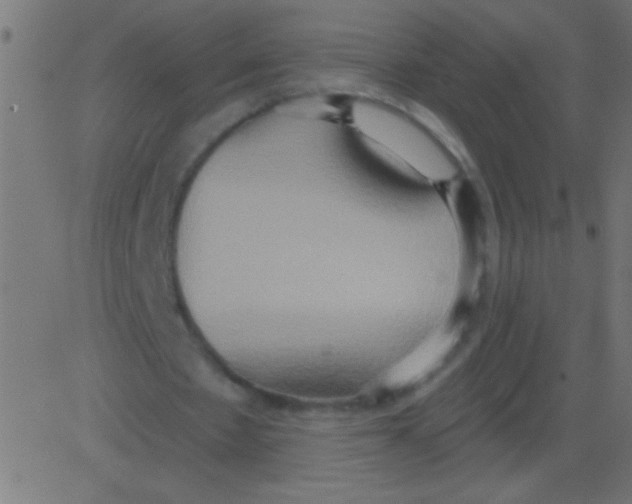 X0000081300481200702012313