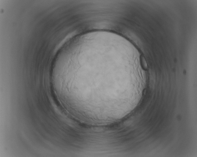 X0000081300482200702012313