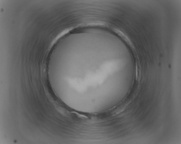 X0000081300483200702012313