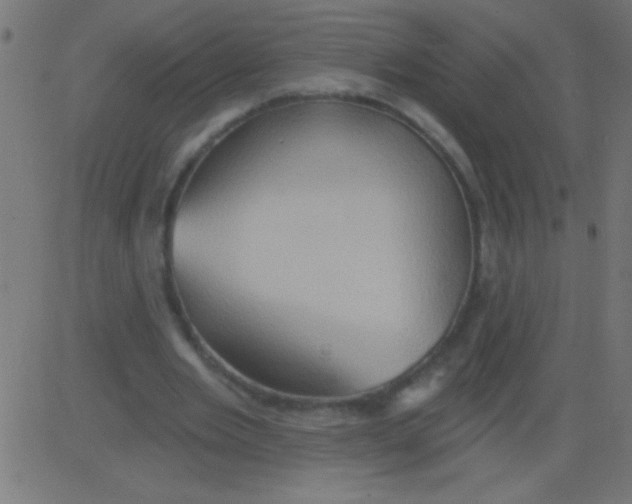 X0000081300485200702012313