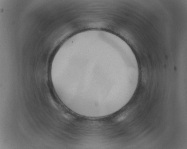 X0000081300486200702012313